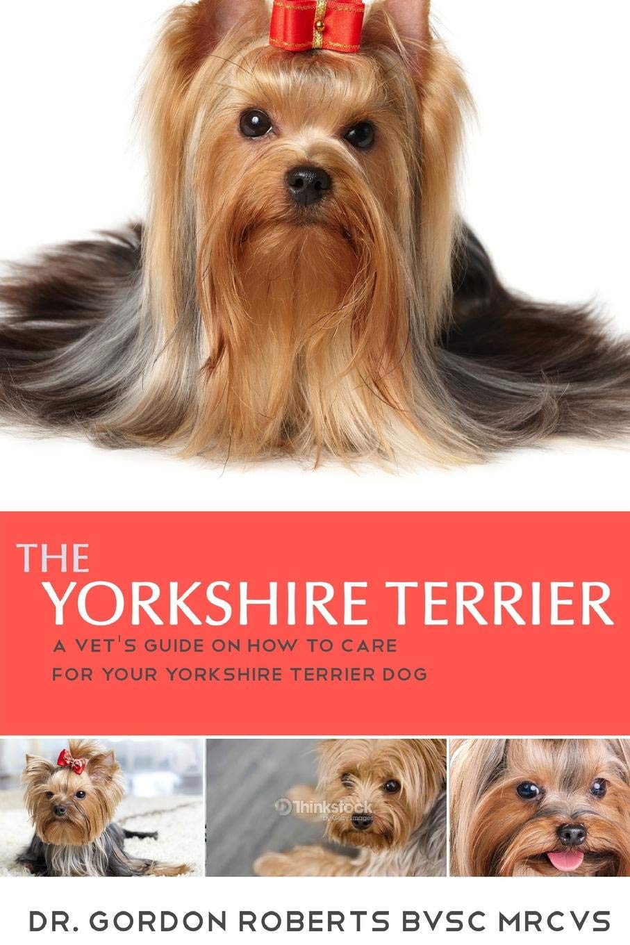 your terrier