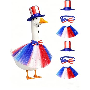 Amazon.com New Releases: The best-selling new & future releases in Women's  Costumes