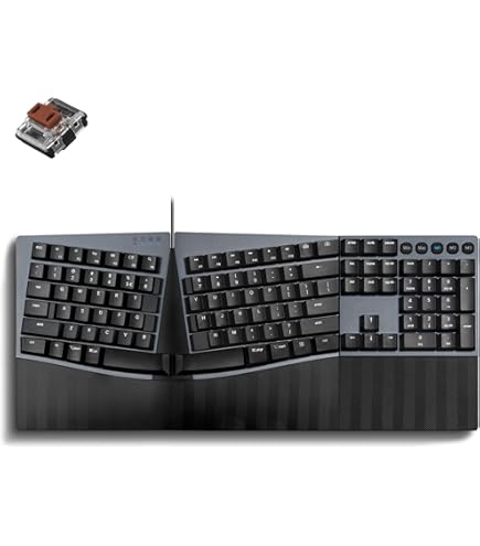 Amazon.com: Logickeyboard Astra 2 PC Backlit Keyboard - Image Line