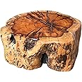 THY COLLECTIBLES Natural Tree Trunk Stump Stool with Live Edge Solid Wood Plant Stand, Stool, Garden Bench, Side Table, End Table (D10 in x H4 in)
