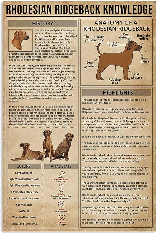 funny rhodesian ridgeback