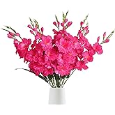 IPOPU 10 PCS Gladiolus Artificial Flowers Bulk 30.3 in Gladiolus Flowers Silk Gladiolus Flowers with Stems Artificial Gladiolus Flowers Faux Gladiolus for Home Wedding Office Decoration(Hot Pink)