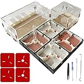 Ants Footsteps Ant Farm Nest Science DIY Terrarium Kit Care for Live Ants Ant Habitat with Water Tower Nurturing Room and Comprehensive Observation