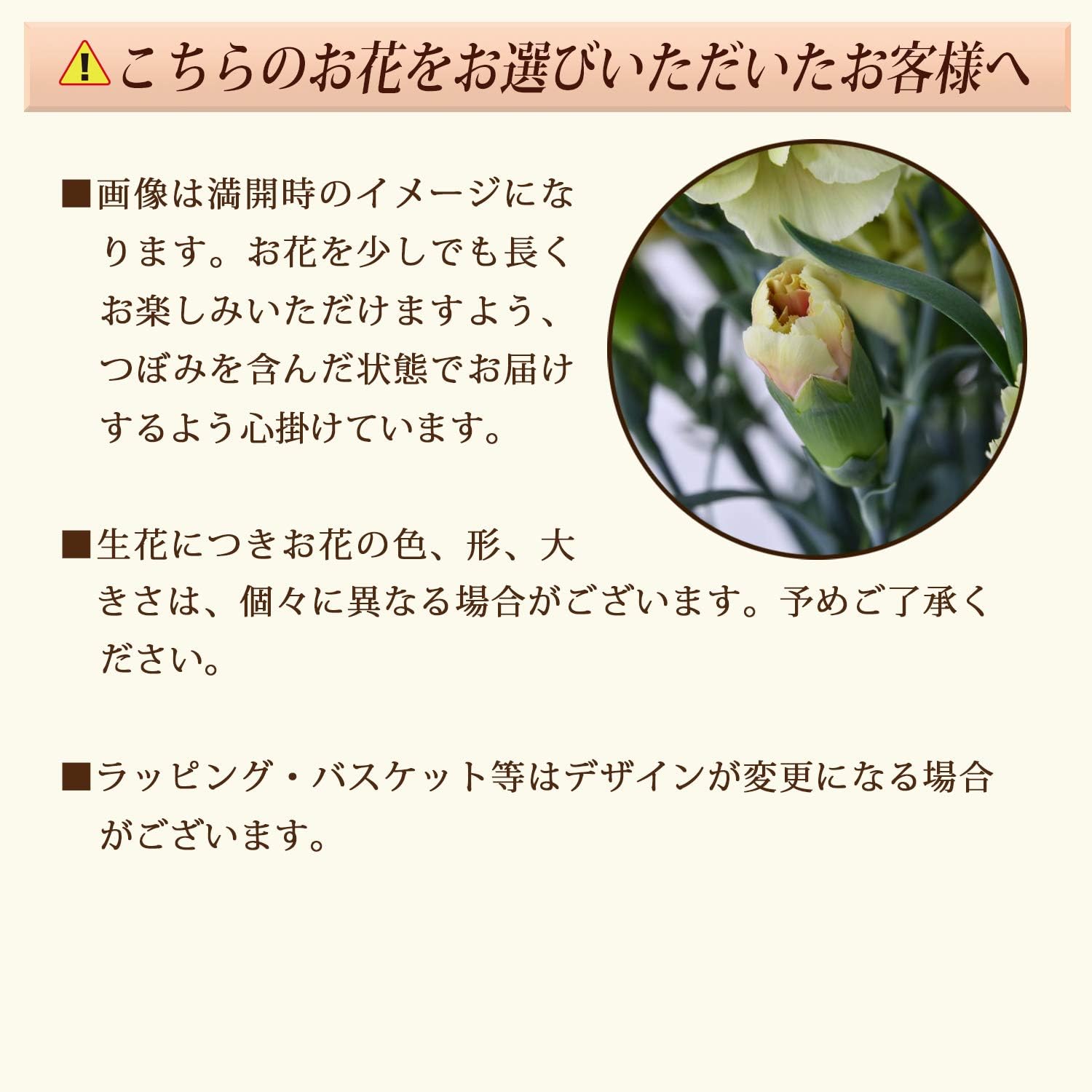 Amazon Co Jp 花のギフト社 母の日 カーネーション アトリウム 鉢花 花鉢 鉢植え プレゼント 花 鉢 5号鉢 ホーム キッチン