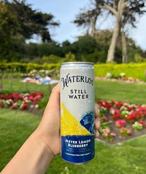 WATERLOO STILL WATER, MEYER LEMON BLUEBERRY NATURALLY FLAVORED PURIFIED WATER | 12 FL OZ CANS (PACK OF 12) – ZERO CALORIES AND ZERO SUGAR OR SWEETENERS