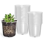 Bluepro 60 Packs 3.5 Inch Reinforced Clear Nursery Pots with Drainage Holes, Transparent Plastic Plant Pot Seedling Planter for Vegetable Propagation, Root Cutting, Seed Starting