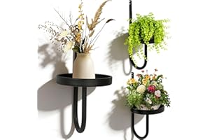 Vitalsvn Wall Plant Holder 3 Pack J-shape Wall-Mounted Plant Stand Metal for Indoor Outdoor Single Planter Holder for Window 