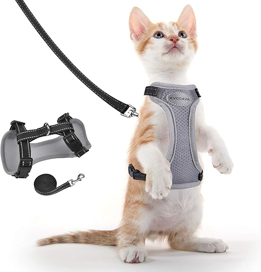 step in cat harness