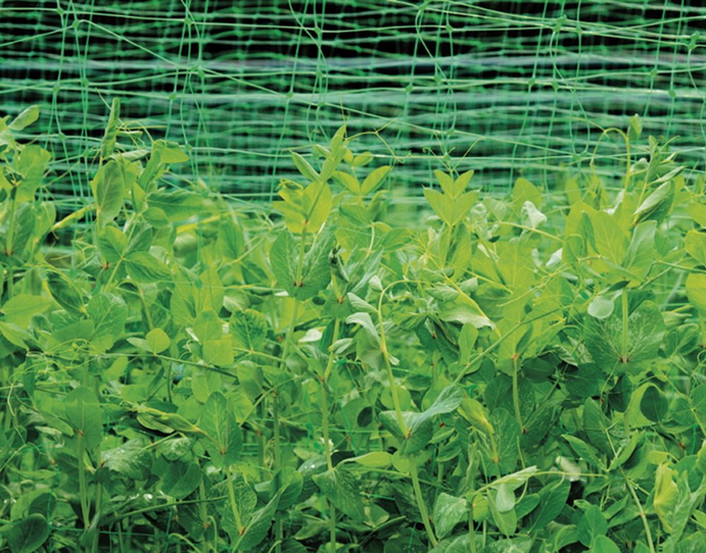 Rango 10X2m Red Green Tower: Amazon.es: Electrónica