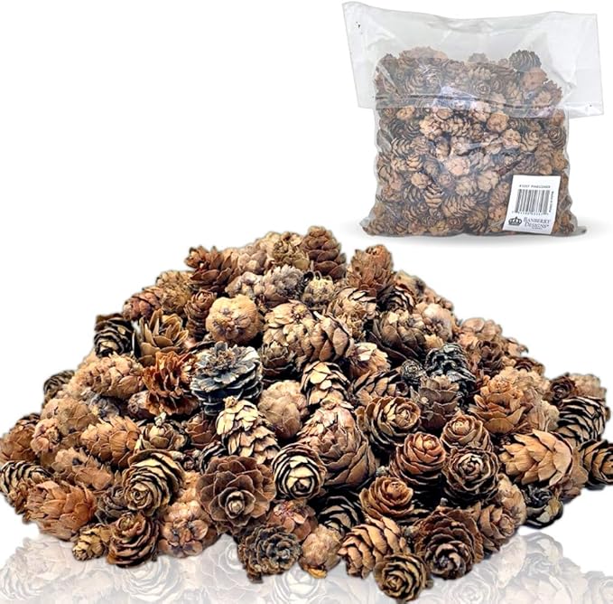 Banberry Designs Mini Brown Pinecones Approx. 200 Small Assorted