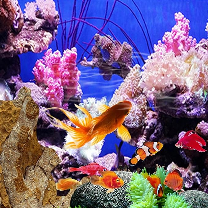 Baoblaze 3d Hd Aquarium Background Underwater Coral Reef Fish Fish