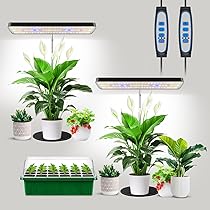 Plant Lights Indoor YEOLEH Grow Light For Indoor Plants Growing