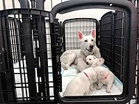 Review Image by @Denise24kt