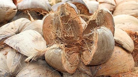 Creative Farmer Orchid Hanging Coconut Coir Husk 1 Kg