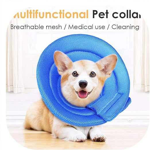 Amazon Com Pg One Big Popular S M Dog Protection Collar Mesh