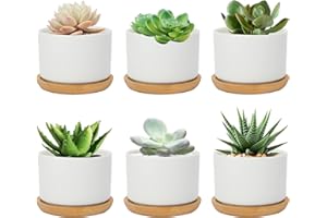 Warmplus White Succulent Plant Pots - Mini Ceramic Cactus Planter with Drainage Hole and Bamboo Tray for Indoors Outdoor Office Home Garden Kitchen Decor, Plants Not Included, Pack of 6