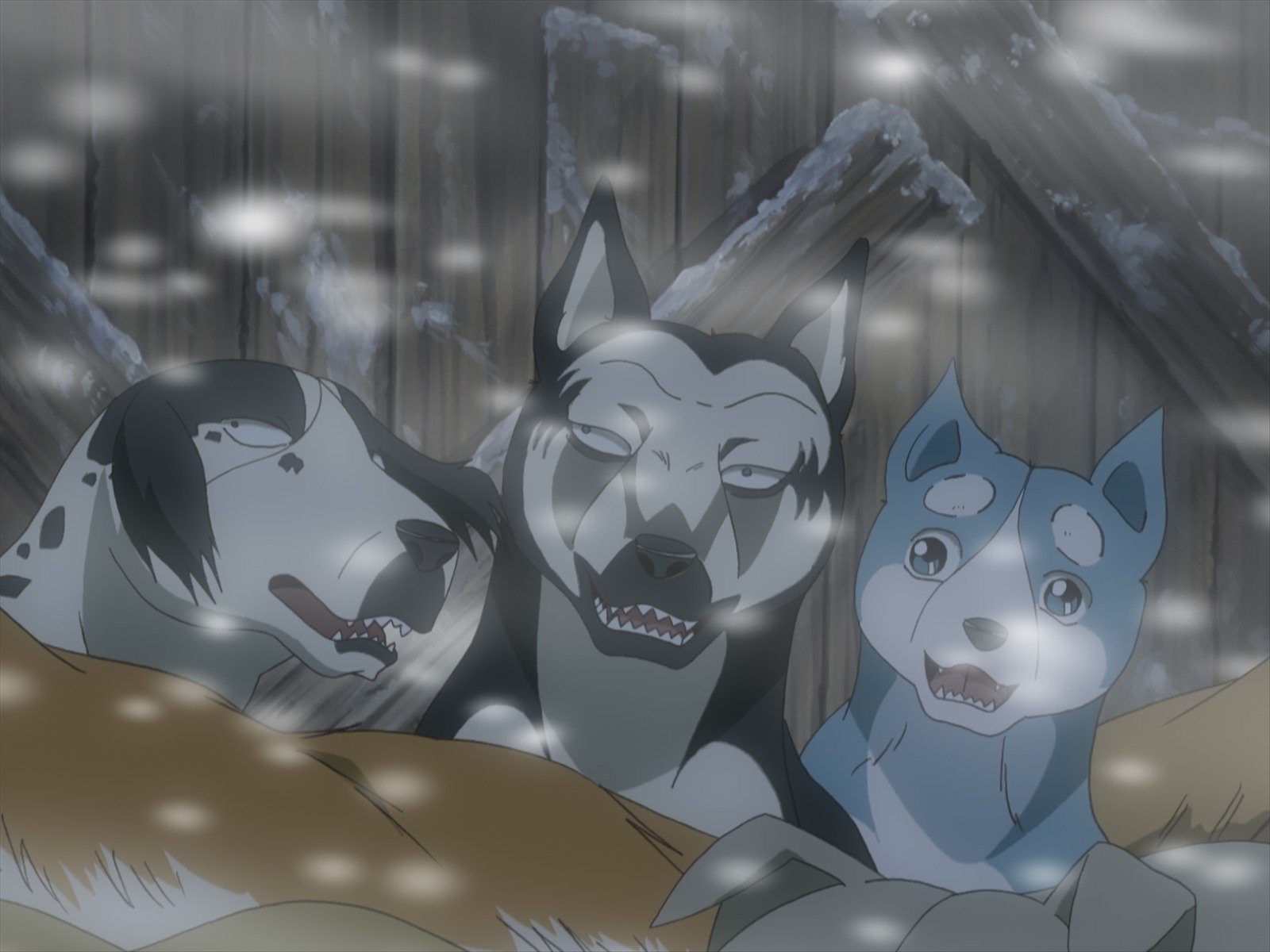 Amazon Co Jp 銀牙伝説weed ウィード を観る Prime Video