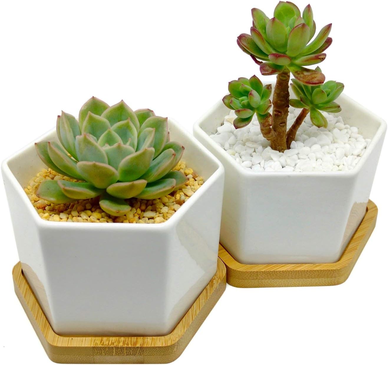 4-Inch Hexagonal White Ceramic Succulent Planter with Bamboo Tray | Set of Two | Minimalist Design