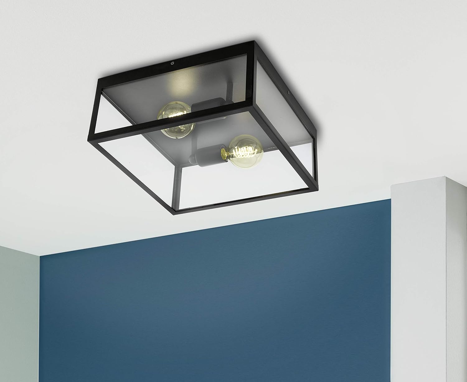 Eglo Ceiling Lamp Charterhouse, 2-Light Vintage Ceiling Fixture, Material: Steel, Colour: Black, Glass: Clear, Socket: E27 - Image 3