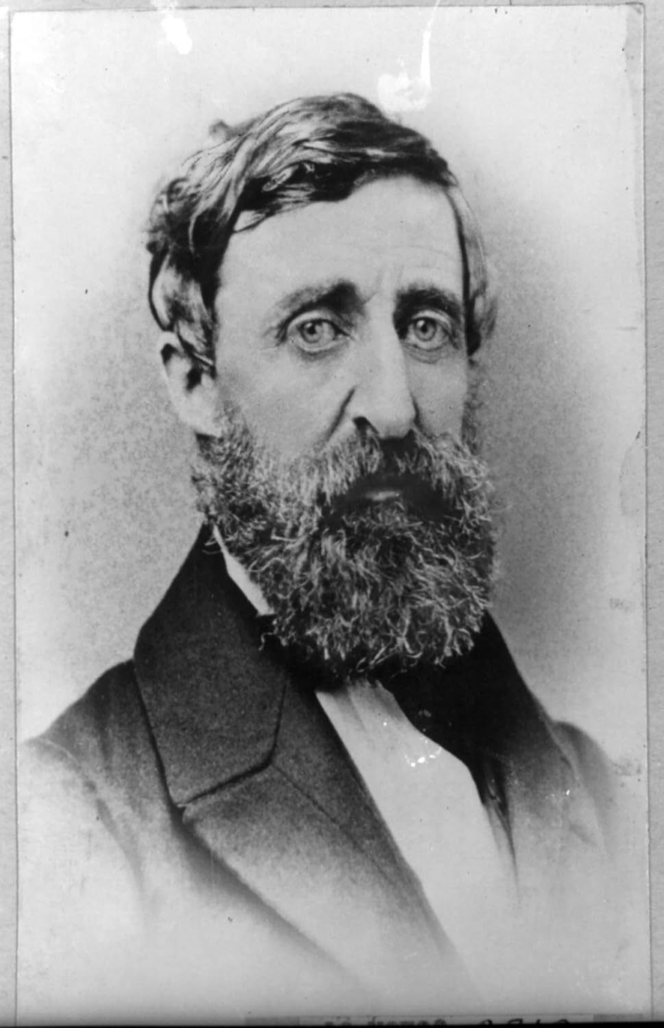 Photographs - Henry David Thoreau Photograph - Historical Artwork from 1879 - (4