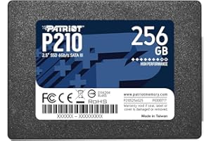Patriot P210 SATA 3 256GB SSD 2.5 Inch