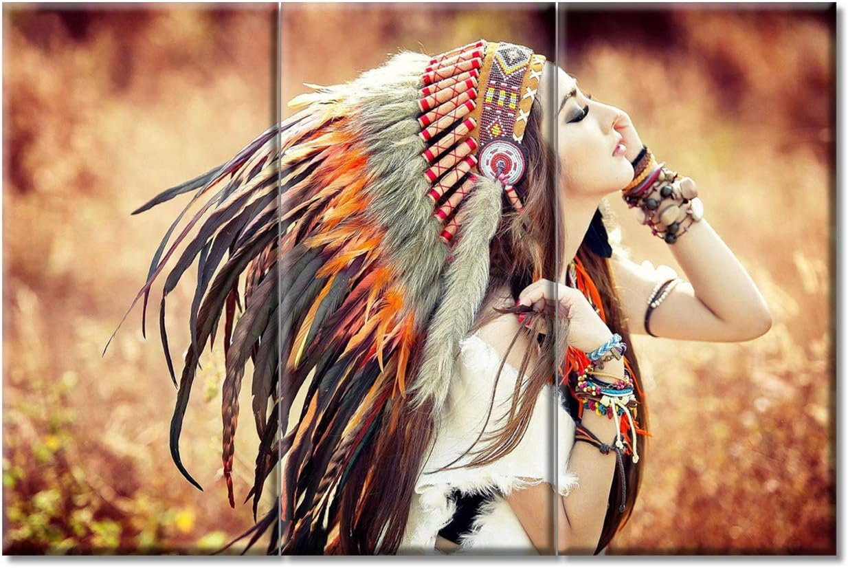 Amazon 3ピース ネイティブアメリカン インディアン ガール ウォールアート キャンバス レディース チーフとカラフルな羽 民族的アクセサリー モダン Hd ポスター 写真 寝室 アートワーク ホーム装飾 リビングルーム用 x40インチ X 3 ウォール