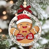 Funny Friend Christmas Ornaments for Women Friends 2025 - A Good Friend is Like A Good Bra Ornament, Acrylic Wooden Christmas Decorations - Bestie Gifts for Women Friends, Coworkers, Sisters