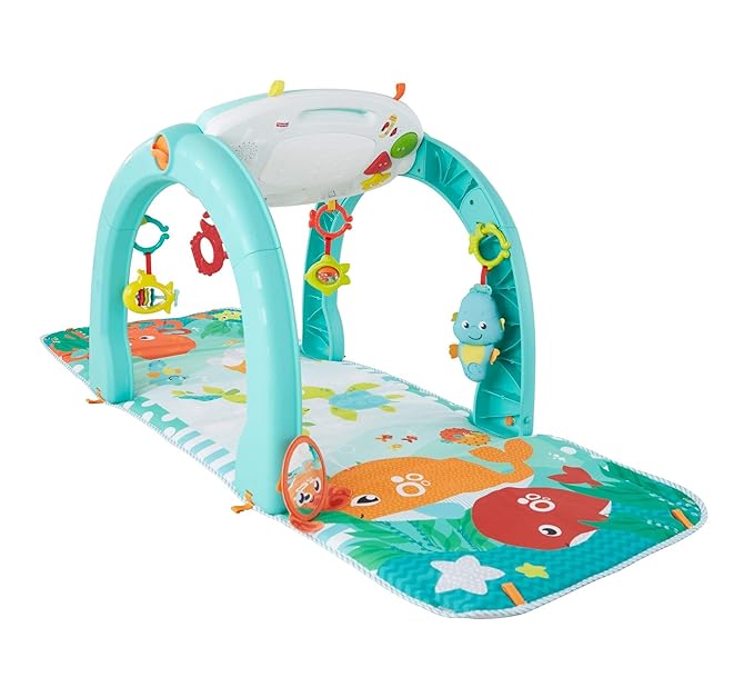 Fisher-Price FNF24 Spielzeug, Mehrfarbig