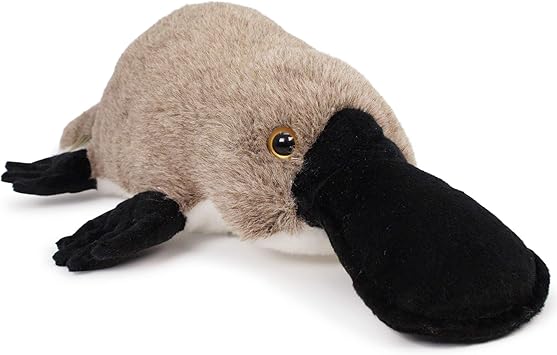 duck billed platypus stuffed animal