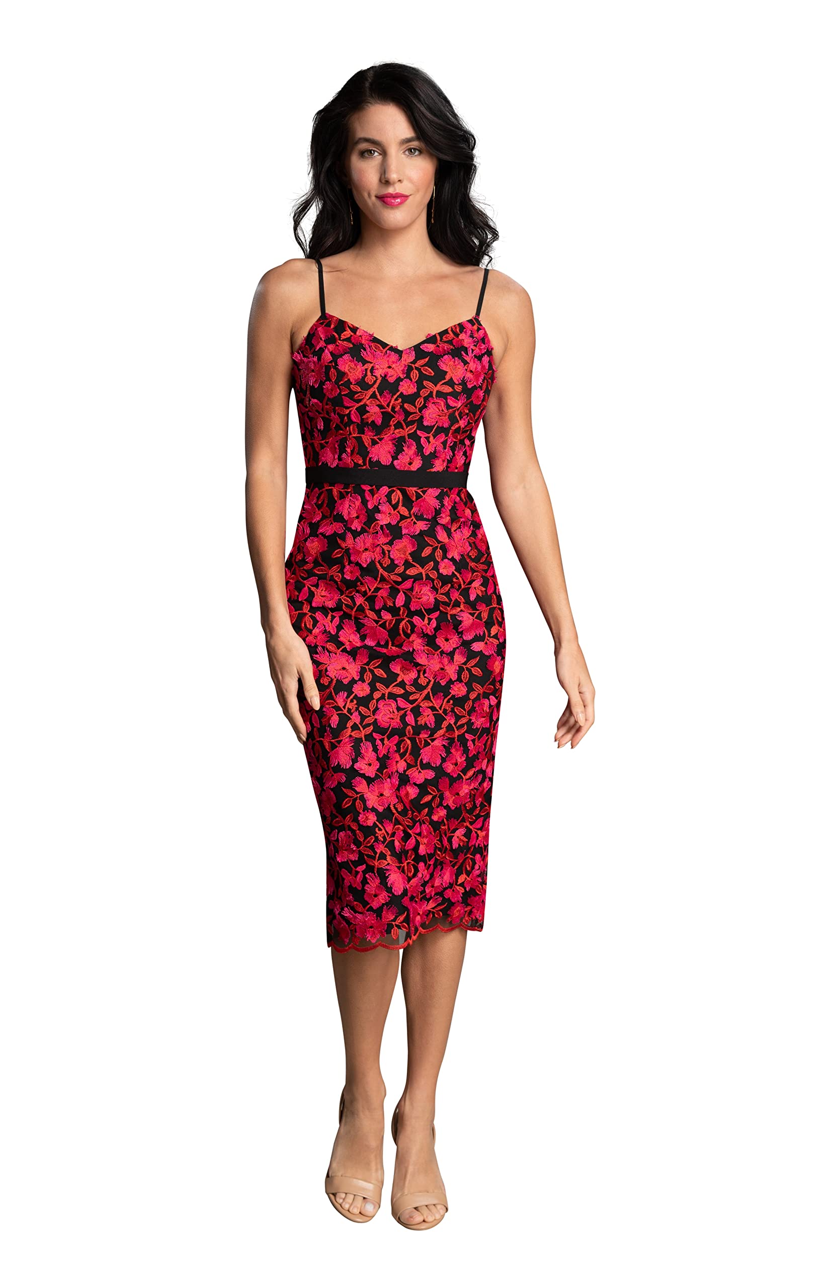 Photo 1 of Dress the Population Women's Emma Sweetheart Neck Embroidered Midi Dress, Fuchsia Multi, XX-Large