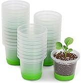 MIXC Thickened Clear Nursery Pots with Silicone Base for Easy Transplant 30 Packs 3.5 Inch, Transparent Plant Pot Reusable Seedling Pots for Vegetable Propagation, Root Cutting, Seed Starting, Green