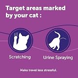 Feliway Classic Cat Calming Odourless Spray 60ml - Veterinary Suggested view 5