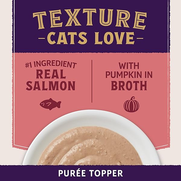 NATURAL BALANCE ULTRA PROTEIN PLUS WET CAT FOOD, SKIN & COAT AND DIGESTIVE HEALTH REAL SALMON WITH PUMPKIN PUREE TOPPER WITH CHICKEN LIVER & CHICKEN HEART, HIGH PROTEIN CAT FOOD – 2.4 OZ. (PACK OF 24)