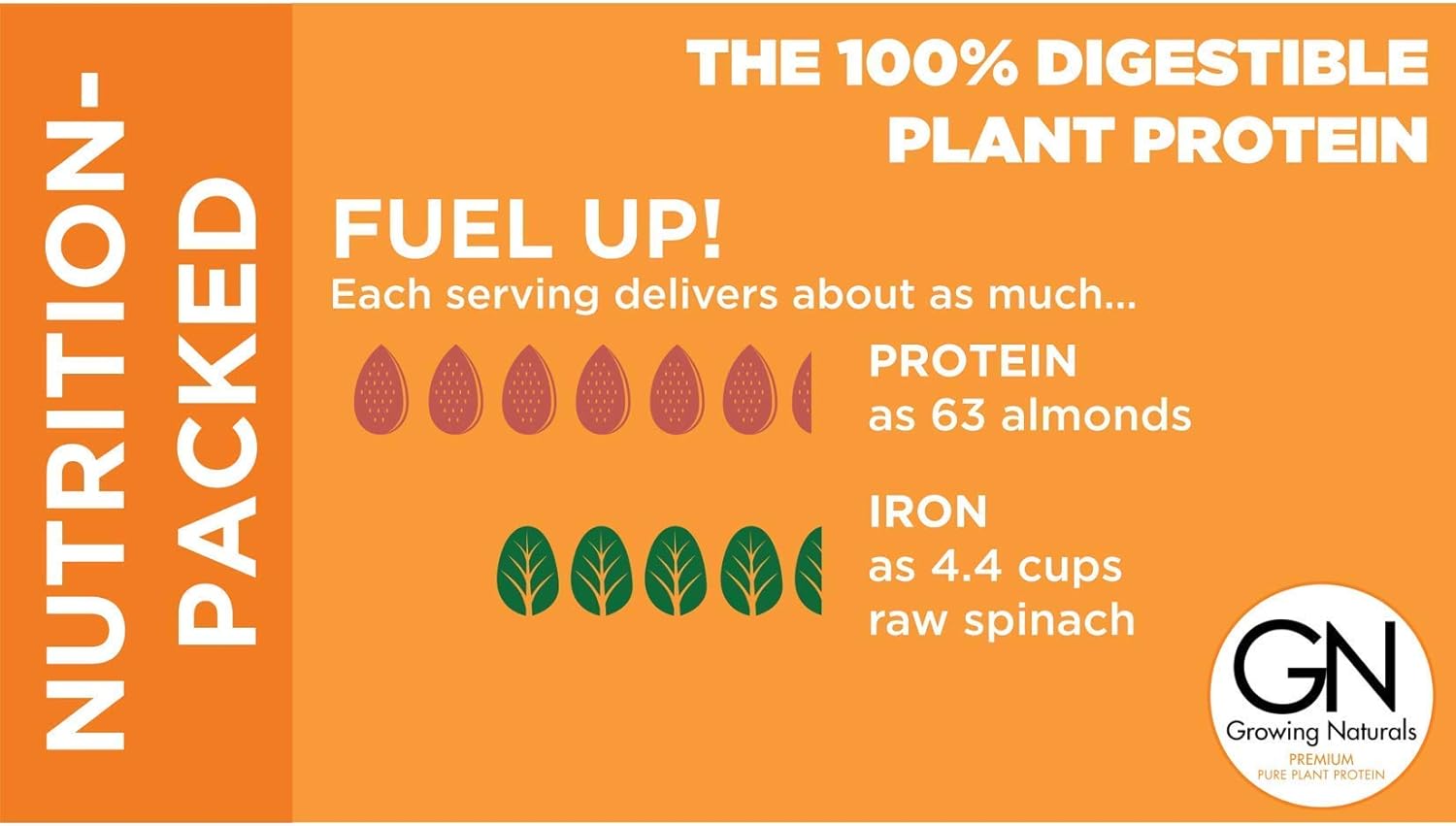 Growing Naturals | Organic Premium Plant Based Protein, Pure Rice Protein Powder | Chocolate Power | Non-GMO, Vegan, Gluten-Free, Keto Friendly, Shelf-Stable | 1LB: Health & Personal Care