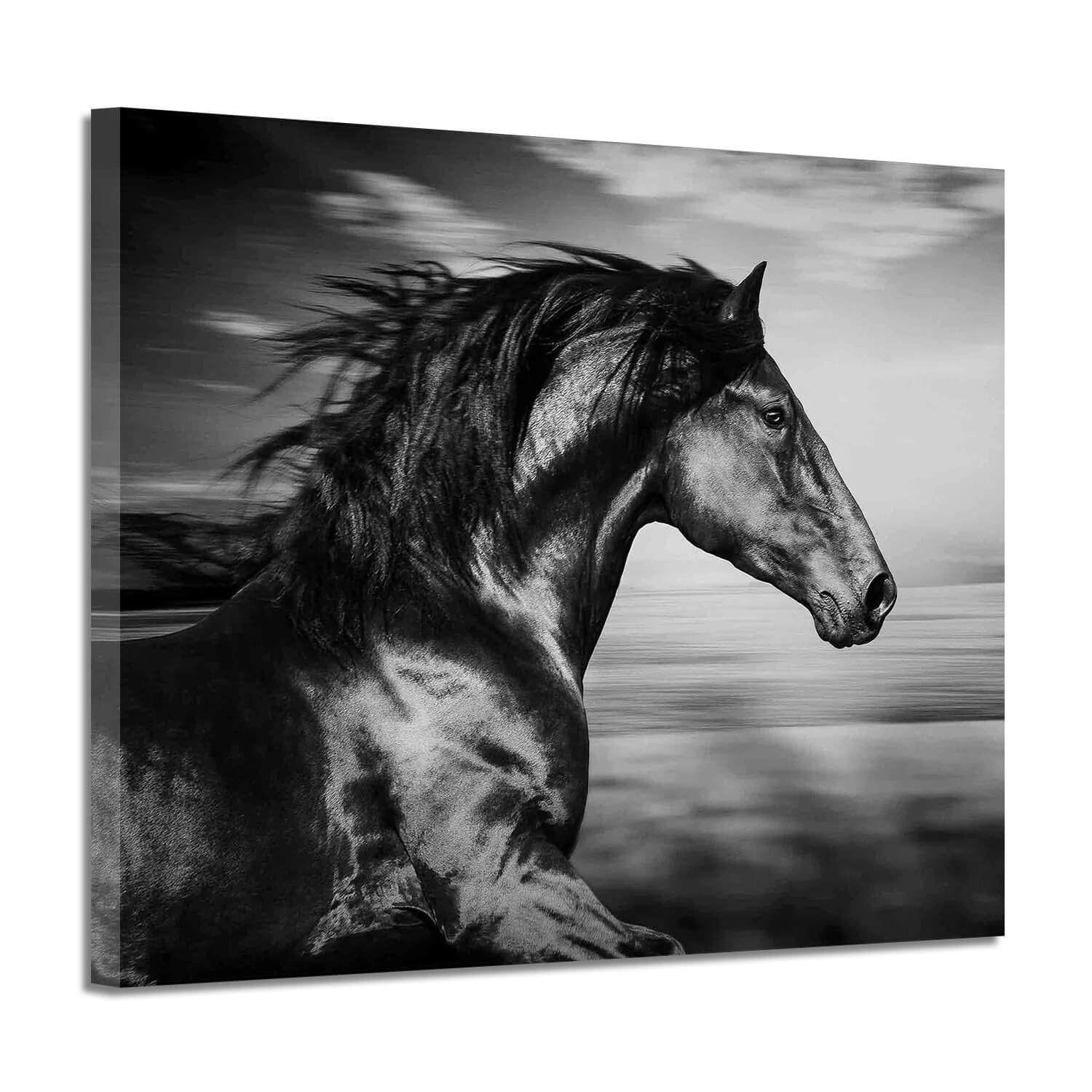 Black Horse Canvas Picture Prints: Wild Animal Painting Art Artwork on Canvas for Office (24'' x 18'')