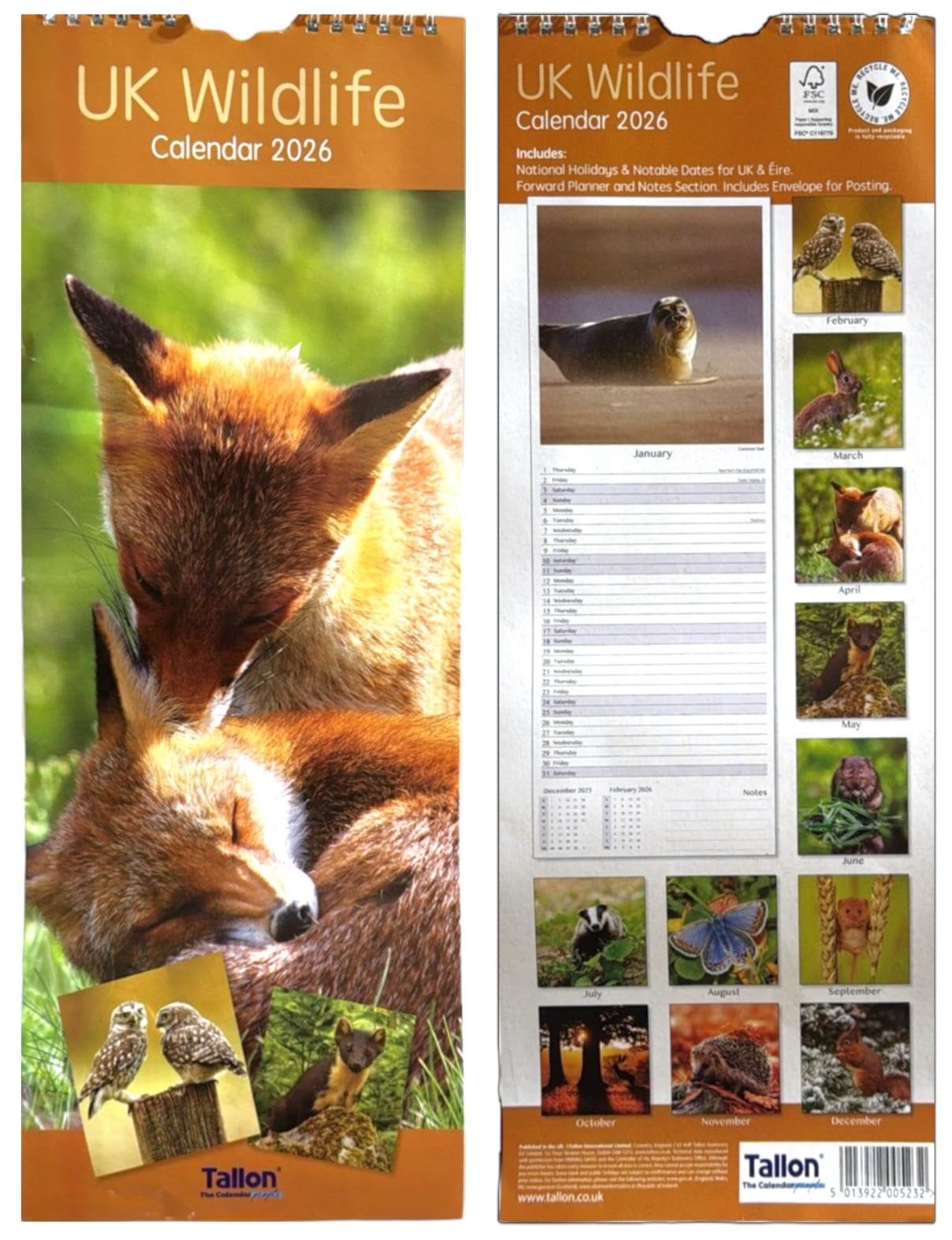 2026 Super Slim Month to View Spiral Bound Hanging Wall Calendar Home Office (Uk Wildlife)