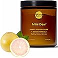 Moon Juice - Mini Dew Electrolytes Powder - Pomelo Grapefruit, 30 Servings - 2in1 Electrolytes & Minerals - Hydration & Brain Function - 3rd Party Tested - 100% Traceable - Sugar Free, Vegan, Non GMO