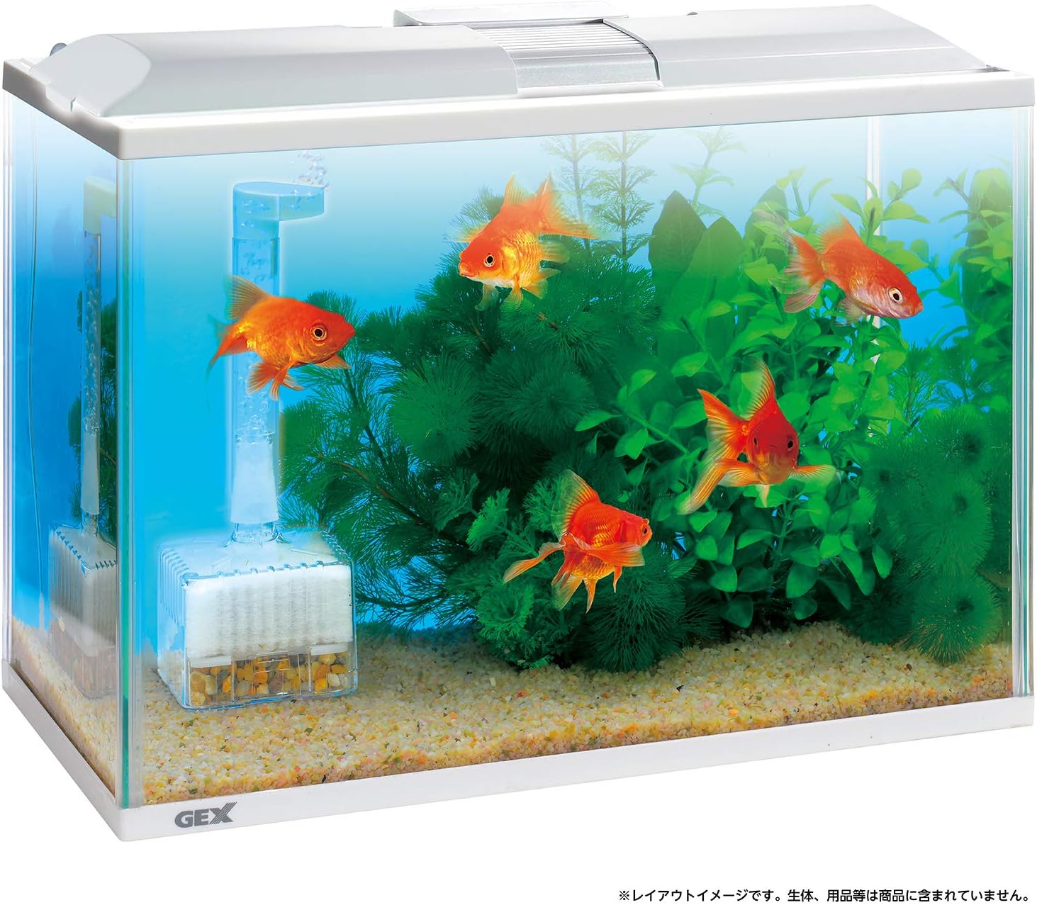 Amazon Co Jp Gex Mrs 400wh Marina Slim L Aquarium White Pet Supplies