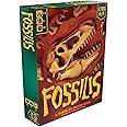 KTBG Fossilis