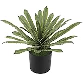 Briful Artificial Potted Plant 13 Inch Fake Plants with Pot Faux Agave Plants for Home Office Floor Table Bathroom Kitchen Decor Indoor Outdoor (Green)