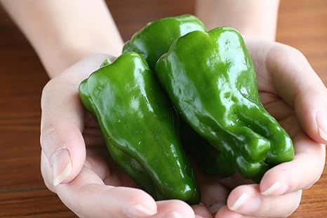 Amazon Co Jp 苗 土佐野菜 土佐ピーマン 10 5cmポット苗 ２本セット Home Kitchen