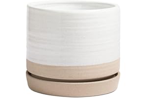 HERDUK 8 Inch Pots for Plants, Ceramic Planter Pot with Drainage Hole & Saucer, Indoor or Outdoor Cylinder Round Planter Pot, Matte White & Beige