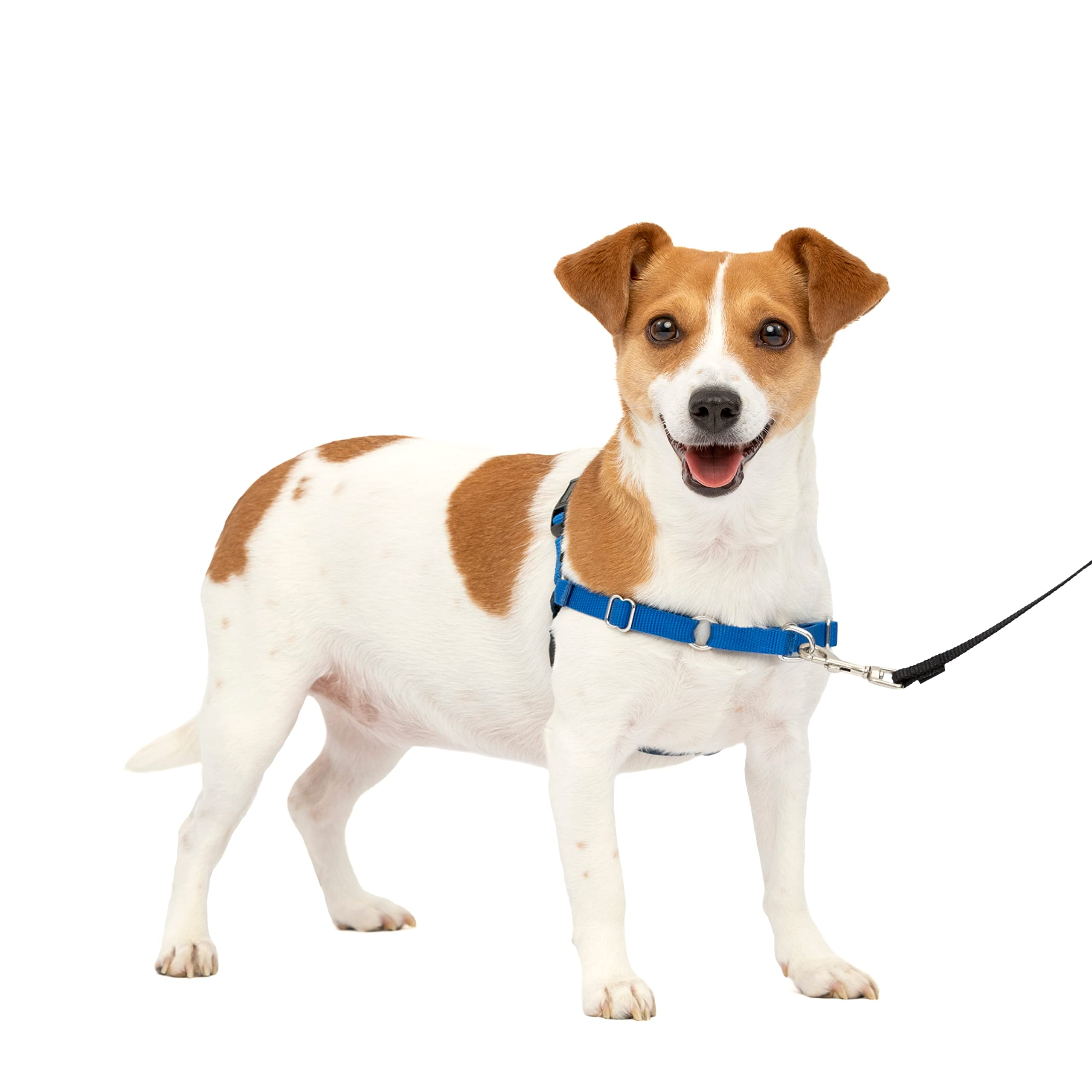 PetSafe Easy Walk dog harness. — image 1