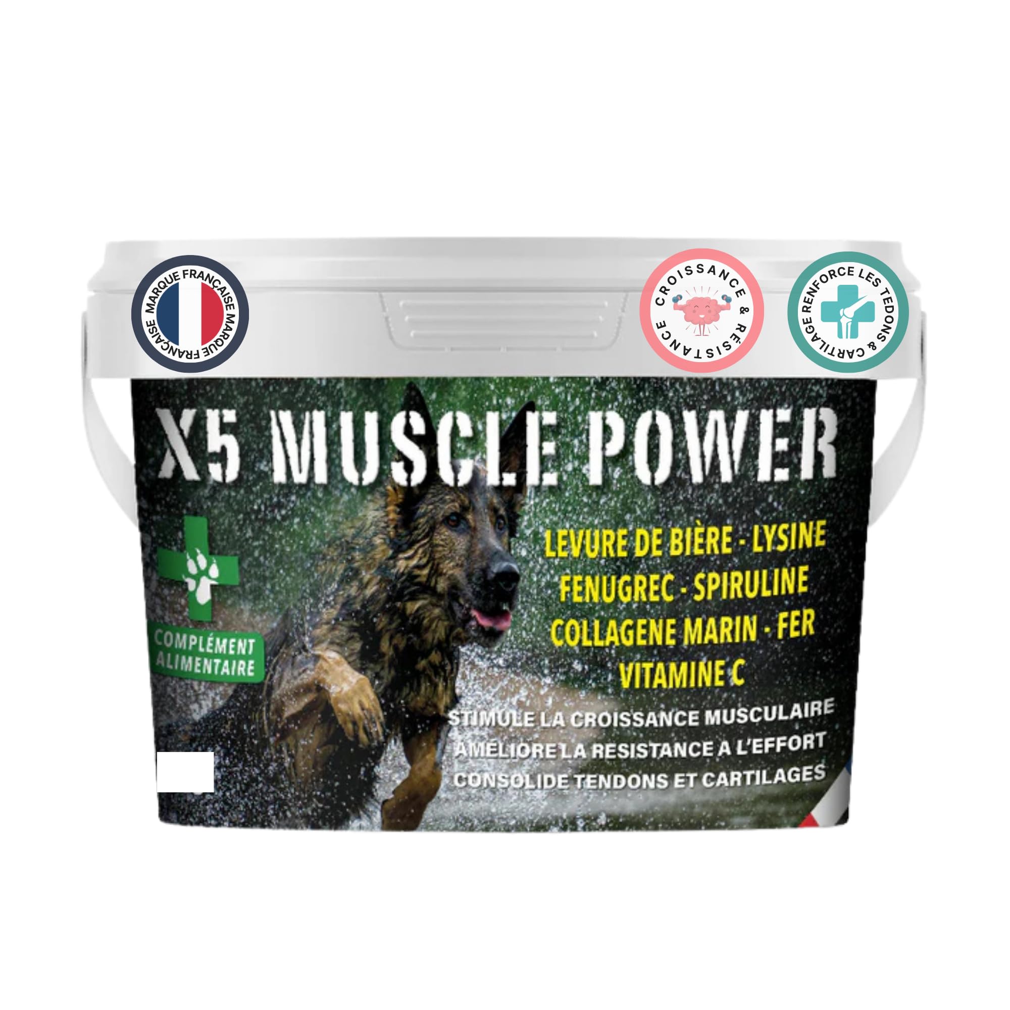 complément Alimentaire Chien Muscle Power x5 – Croissance Musculaire, Force, Endurance et récupération – fourni avec cuillère doseuse – Chiot Adulte Senior – santé articulaire et vitalité - 500g