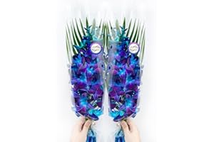Sunne Tropical OrchidClub USA Fresh Cut Flowers Dendrobium Orchids (10 Stems Blue)