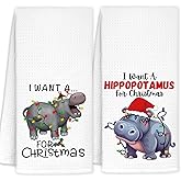 FDHSPAAM I Want a Hippopotamus for Christmas Bathroom Hand Towels Set of 2, Hippo Lover Gifts for Teens Boys Girls, Kids Bathroom Decor, 16x24 Inch