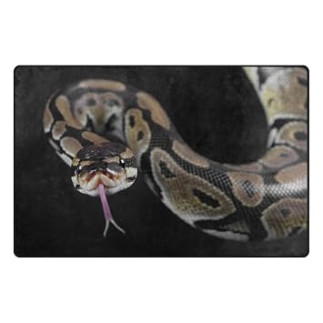 Amazon De Mydaily Python Schlange Mit Deko Bereich Teppich Mit 4
