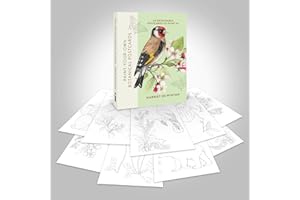 Paint-Your-Own Botanical Postcards: 24 detachable postcards to paint in