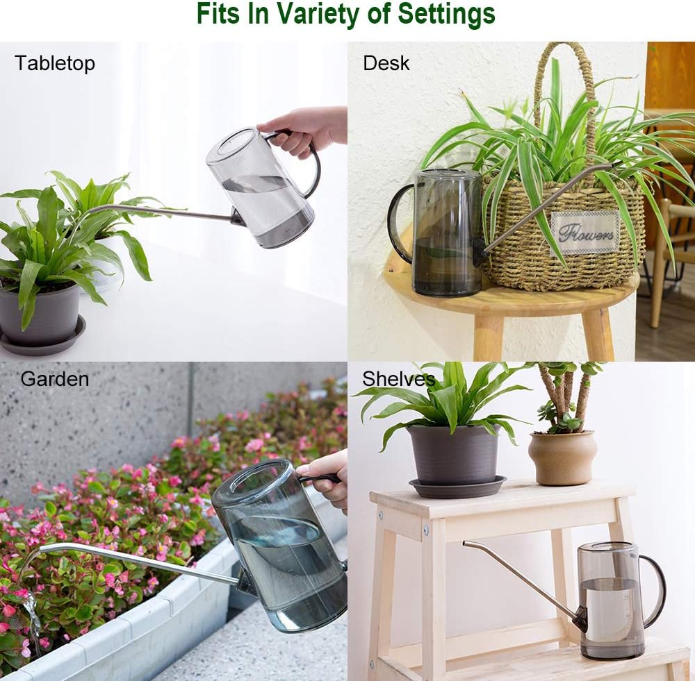 Watering Can Indoor, Small Watering Cans for House Plants, Succulents and Flowers, Long Spout, 1 Liter, with Bonus Plant Mister Spray Bottle (Grey) : Garden & Outdoor