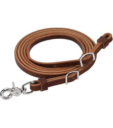 Rênes En Biothane Weaver Leather Brahma – 5/8" X 10', Marron, Pour Randonnée équitation